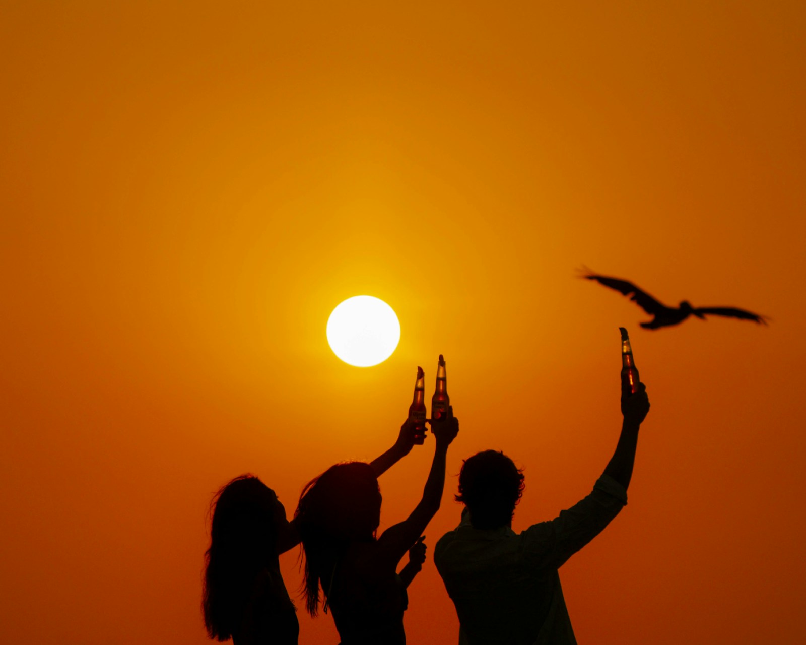 Amigos brindando con cervezas al atardecer en la playa